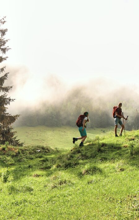Styrian Iron Trail Etappe 10 | © WEGES | Weges