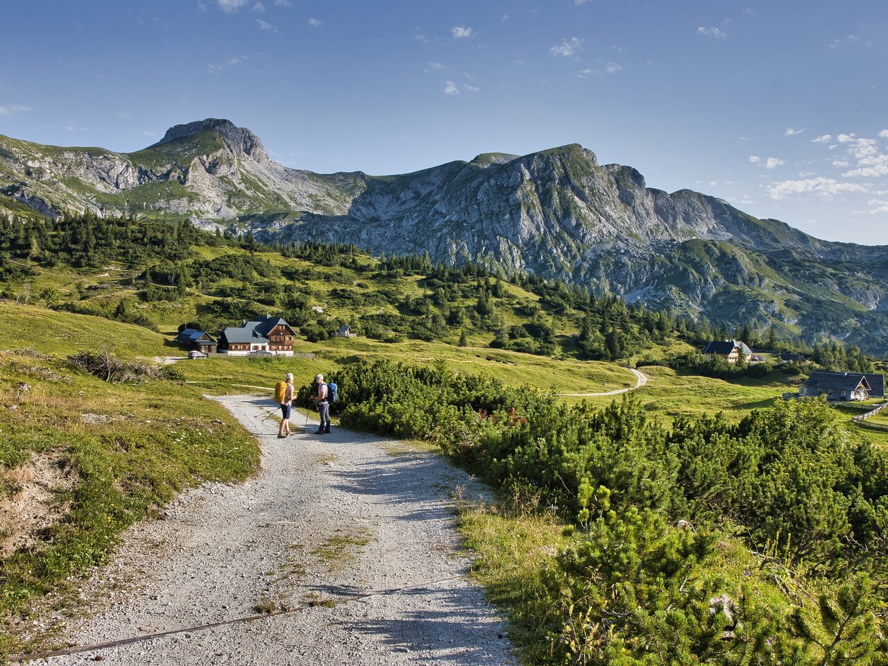 Zwei Wanderer gehen einen langen Weg umgeben von Wiesen und Bergen