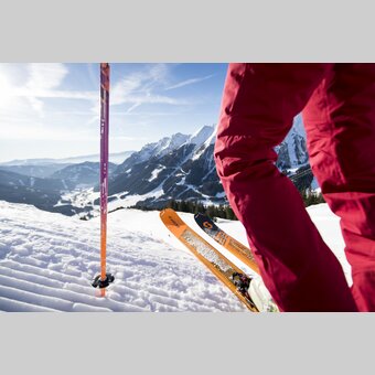 Nahaufnahme Skis | © Steiermark Tourismus | Tom Lamm
