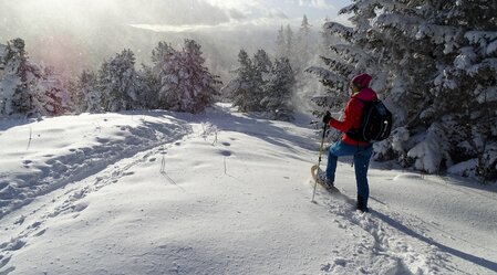 Schneeschuhwandern am Steinplan (nahe Kleinlobming) | © Erzberg Leoben | WEGES OG