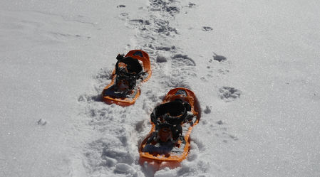 Handlalm Schneeschuhwandern | © TV Erzberg Leoben | WEGES OG