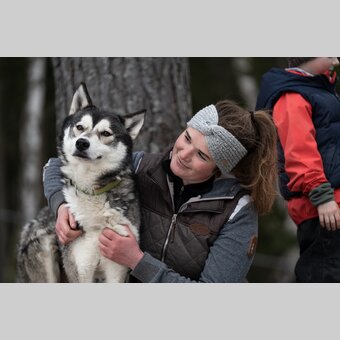 Husky Flüstern | © Iron Road Siberians | Harald Tauderer