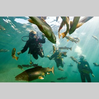 Fischbegegnung im Grüblsee | © Erzberg-Leoben | Susanne Einzenberger