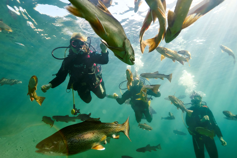 Fischbegegnung im Grüblsee | © Erzberg-Leoben | Susanne Einzenberger