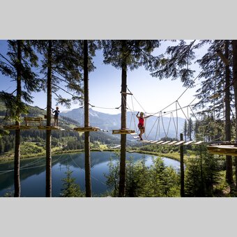Adventurepark Alpfox | © Alpfox | Tom Lamm