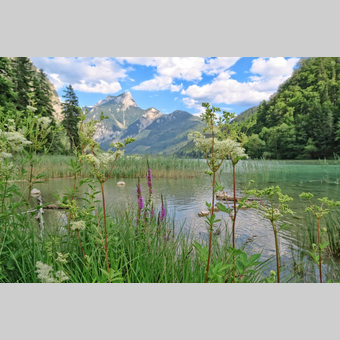 Leopoldsteinersee | © TV Erzberg Leoben | M. Pezmann