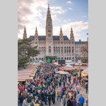 Steiermark Frühling mit Blick auf den Rathausplatz | © STG | /Press/MediaCopyright/Michaela Lorber
