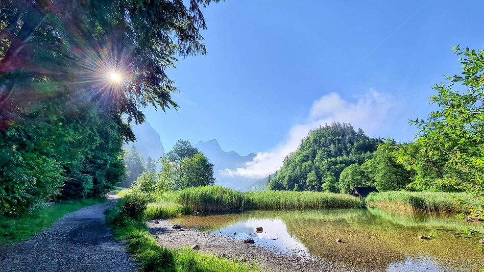 Leopoldsteinersee mit Sträuchern und einem Schotterweg mit Bäumen daneben.