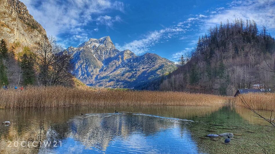 Leopoldsteinersees Flussufer im Frühjahr mit Sträuchern und dahinter Berge mit Wäldern