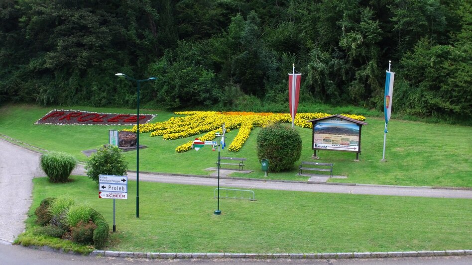 Auf der Wiese sind Blumen in Gestalt von einer Sonne gewachsen