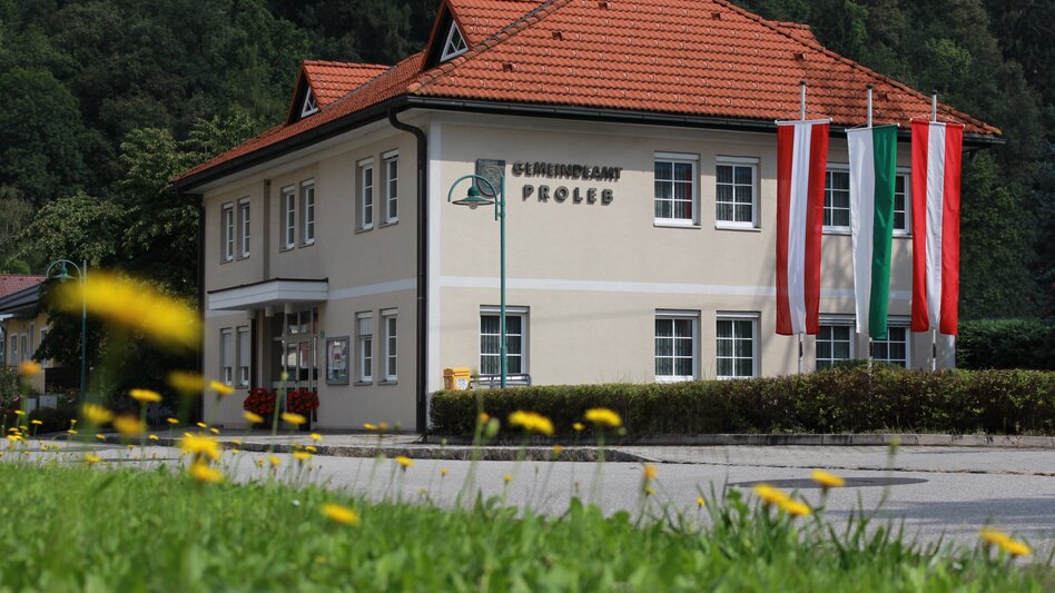 Durch Löwenzähne hindurch sieht man das Gemeindeamt Proleb und davor wehen drei Fahnen