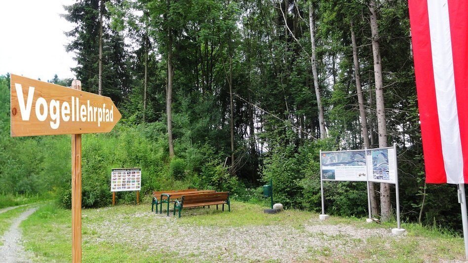 Pfeil mit Vogellehrpfad darauf zeigt auf eine Sitzbank mit Tisch