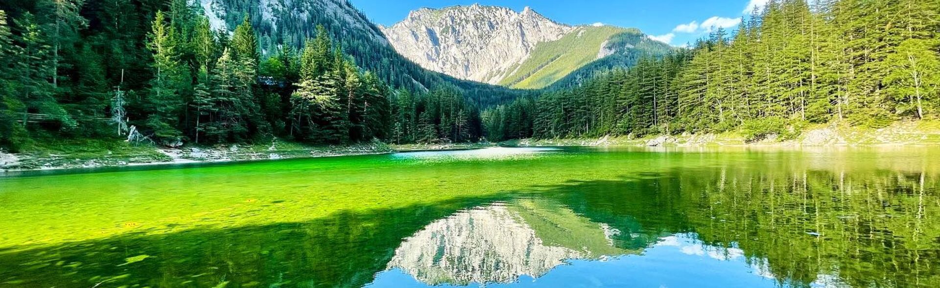 Im Wasser des Grünen Sees wiederspiegeln sich die Berge und Wälder dahinter