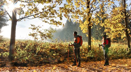 Styrian Iron Trail | © Erzberg-Leoben | Weges