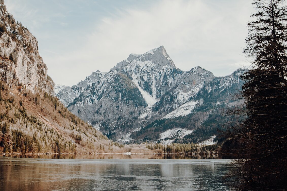 Forstbetrieb Hohenberg | © Genussreich | Freilichtmomente