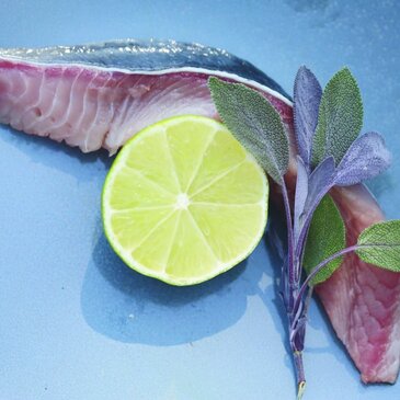 Ein rohes Filet vom Wels mit einer halben Limette und einem Stängel Salbei.