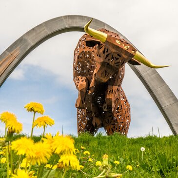 Bulle - Red Bull Ring 