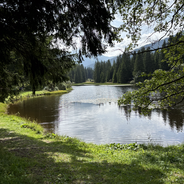 Weberteich - Hohentauern