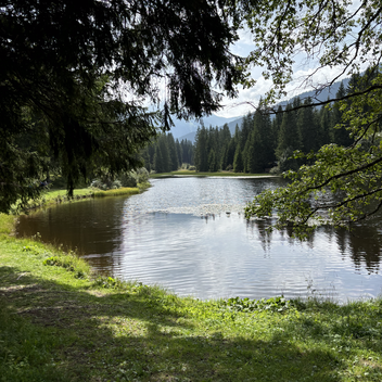 Weberteich - Hohentauern | © Erlebnisregion Murtal | Selina Senft