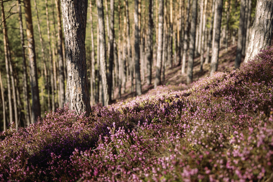 © Erlebnisregion Murtal |  Karl Steinegger