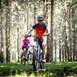 E-Bike 5