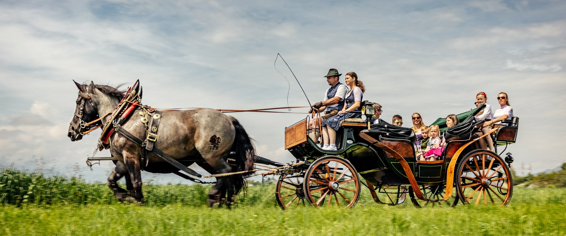 © www.spekner.com