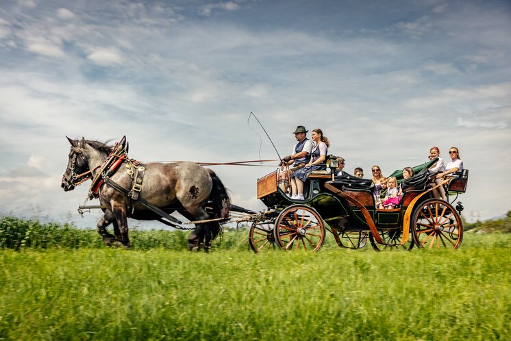 © www.spekner.com