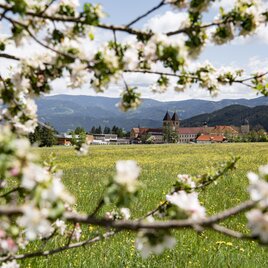 Spring Abbey Seckau