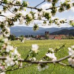 Frühling Abtei Seckau