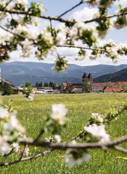 Frühling Abtei Seckau | © Anita Fössl  | TV Murtal