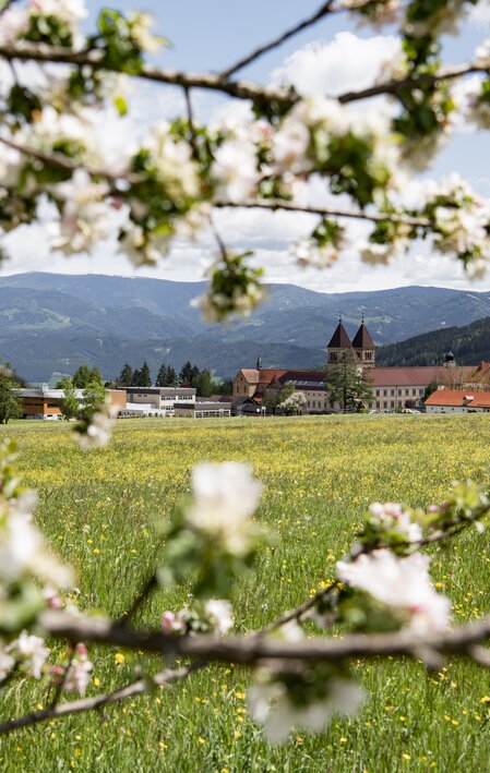 Frühling Abtei Seckau | © Anita Fössl  | TV Murtal
