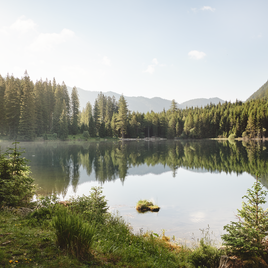 Landschaft