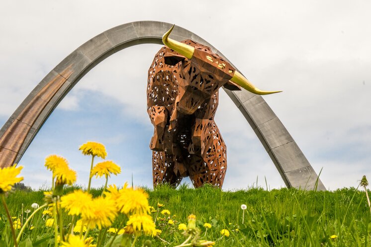 Bull | © Projekt Spielberg GmbH & Co KG | HQSuperphoto