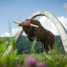 Bull