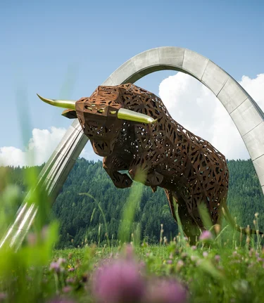 Bulle | © Philip Platzer | TV Murtal