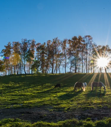 © Anita Fössl  | Erlebnisregion Murtal