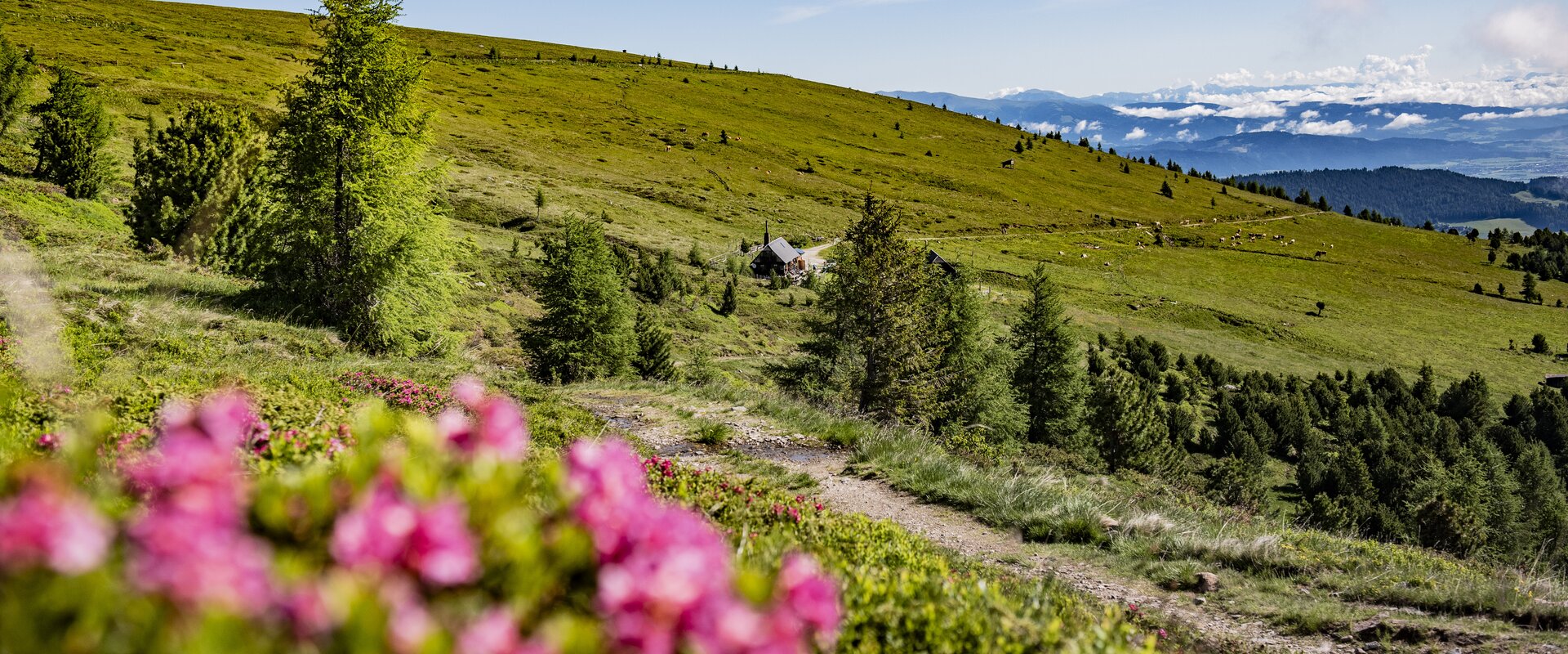 Wandern | © Anita Fössl  | TV Murtal
