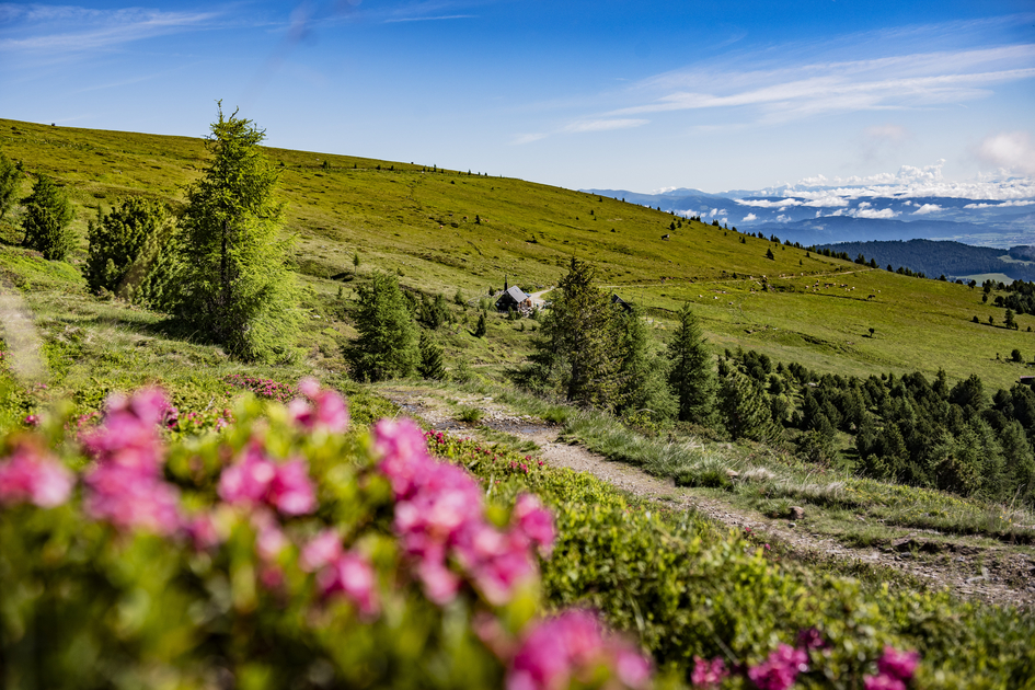 Wandern | © Anita Fössl  | TV Murtal
