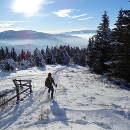 Schneeschuhwandern