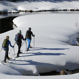 Schneeschuhwandern