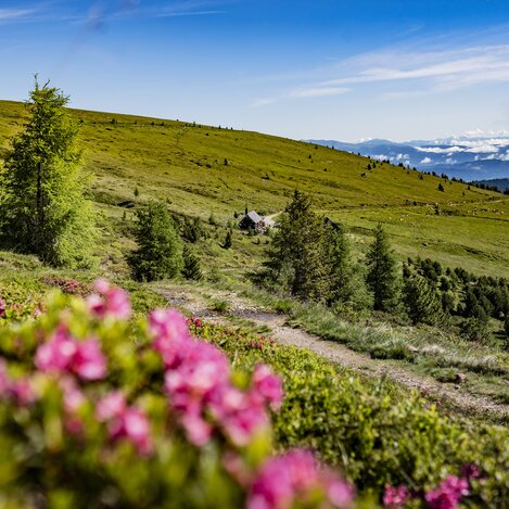 © Erlebnisregion Murtal | Anita Foessl