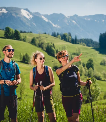 Falkensteinalm | © TV Hochsteiermark | nicoleseiser.at
