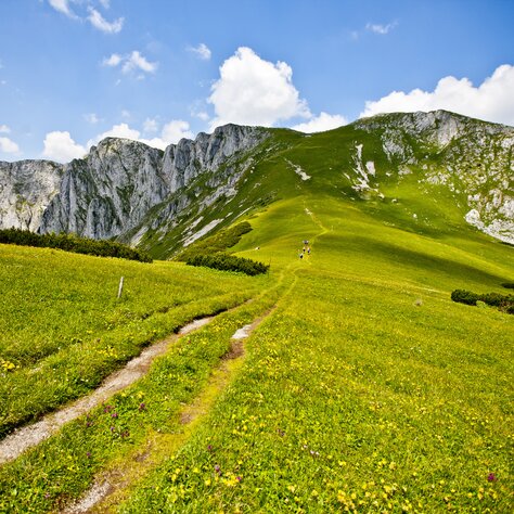 Schutzhütte Scheickl/Langenwang in Langenwang, Steiermark