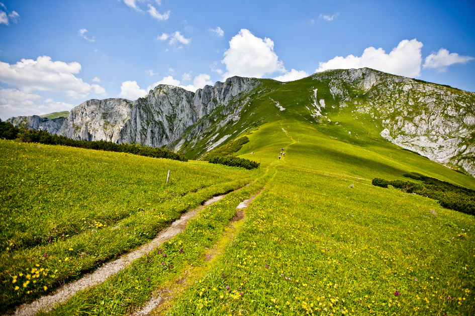 Wandern in der Hochsteiermark | © TV Hochsteiermark | Tom Lamm