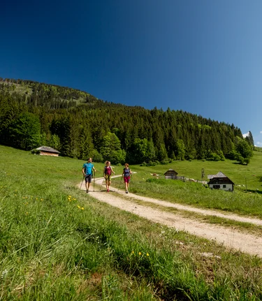 Falkensteinalm | © TV Hochsteiermark | nicoleseiser.at