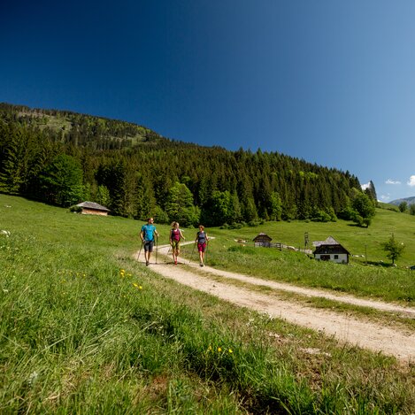 Falkensteinalm | © TV Hochsteiermark | nicoleseiser.at