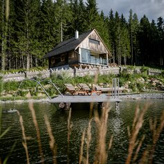 Ein Schwimmteich mit einem Holzsteg, darauf stehen zwei Sonnenliegen und Wasser plätschert in den Teich, im Hintergrund ein Haus umrahmt von Wald und Wiesen