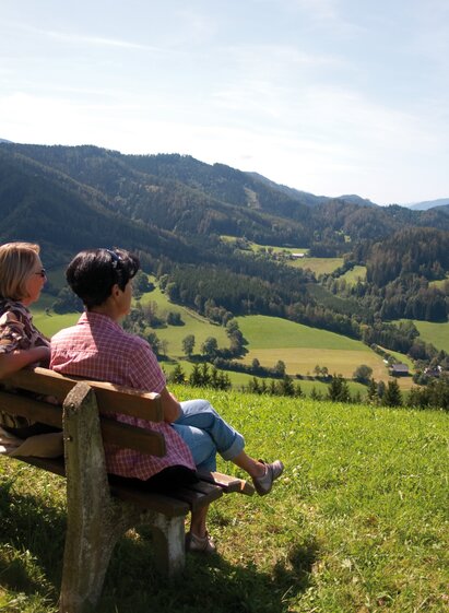 Ausblick | Siegfried Teubenbacher