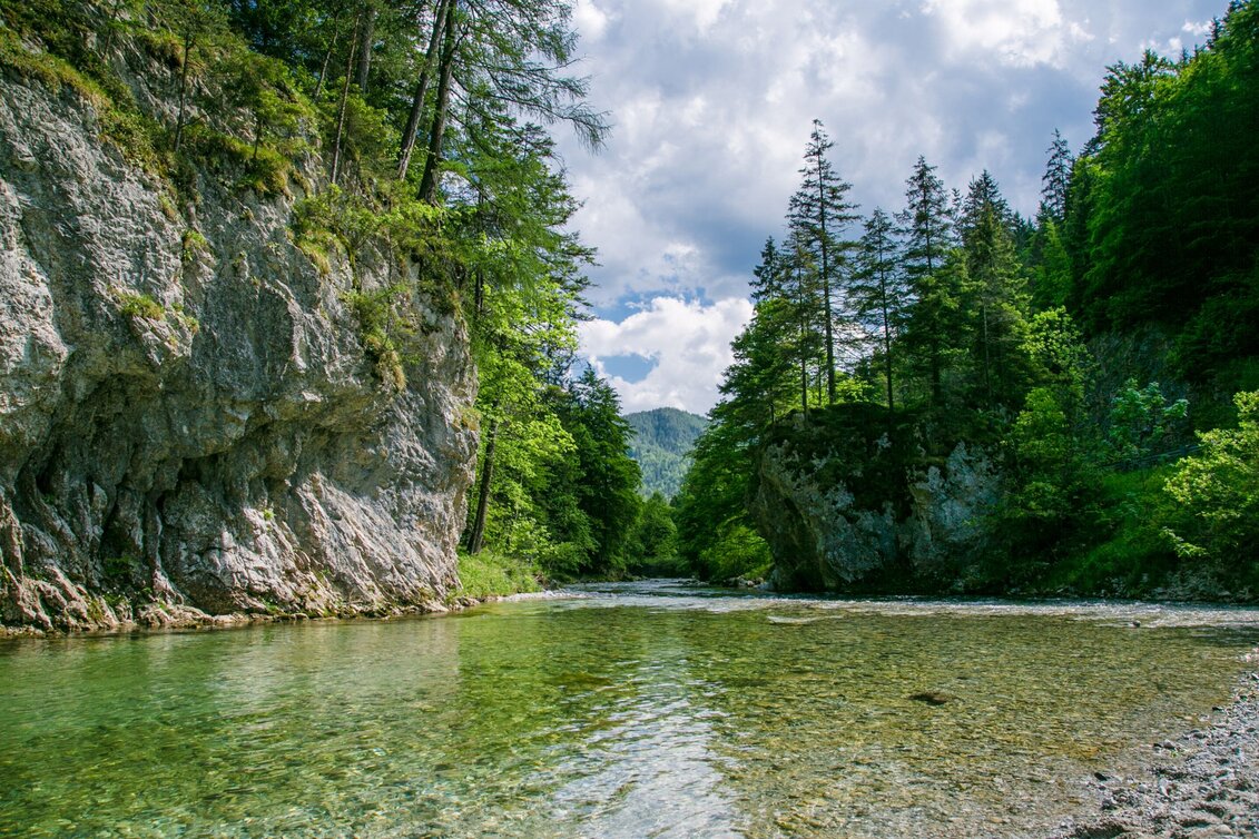 Sommer im Naturpark | © Naturpark Mürzer Oberland | nicoleseiser.at