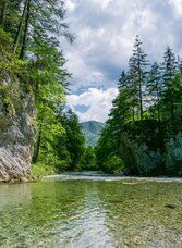 Eine Wasserlandschaft, mit Felsen und Sträuchern